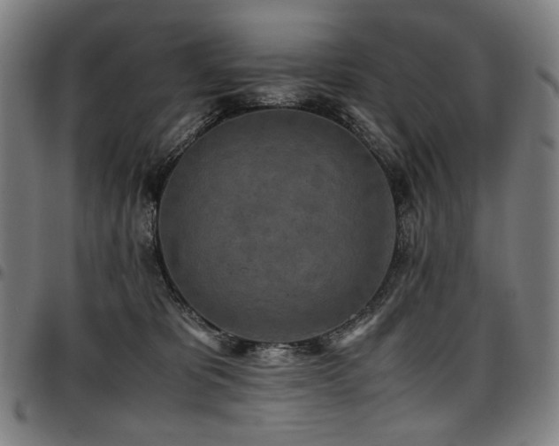 X0000097600325200802291249