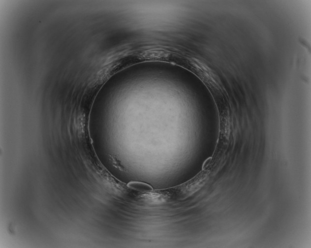 X0000097600326200802291249