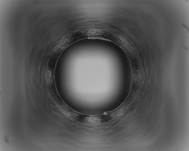 X0000097600327200802291249