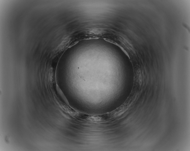 X0000097600328200802291249