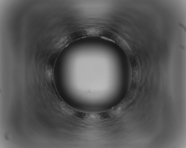 X0000097600329200802291249