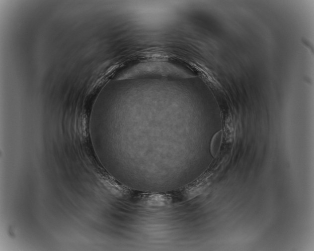 X0000097600330200802291249