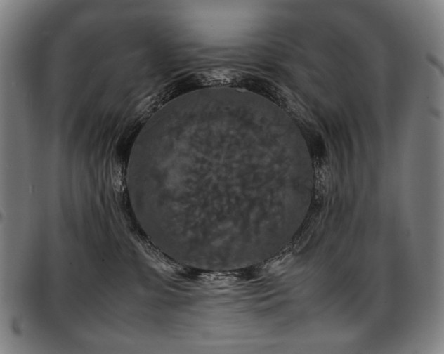 X0000097600331200802291249