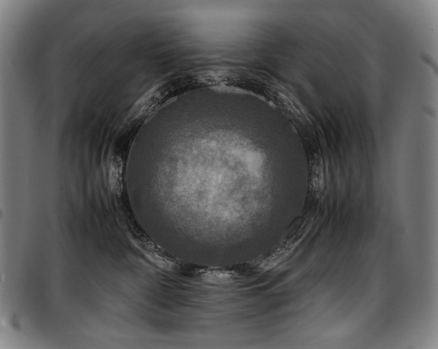 X0000097600332200802291249