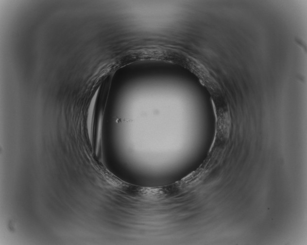 X0000097600333200802291249