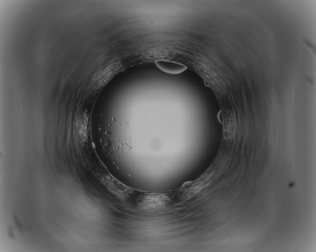 X0000097600334200802291249