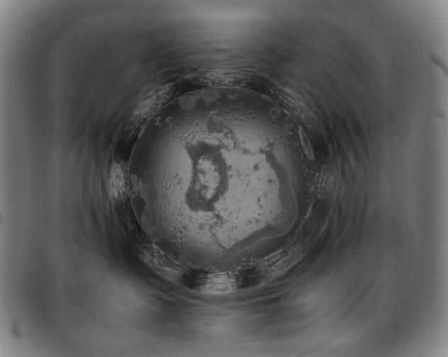 X0000097600335200802291249