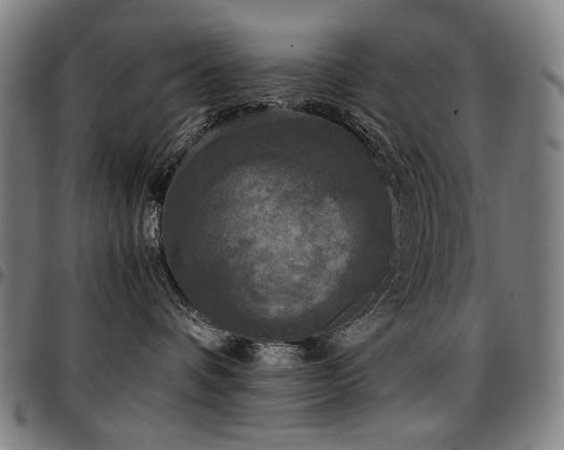 X0000097600336200802291249