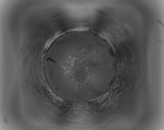 X0000097600337200802291248
