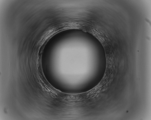 X0000097600338200802291248