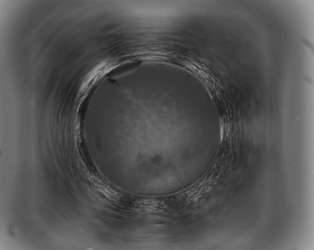 X0000097600339200802291248