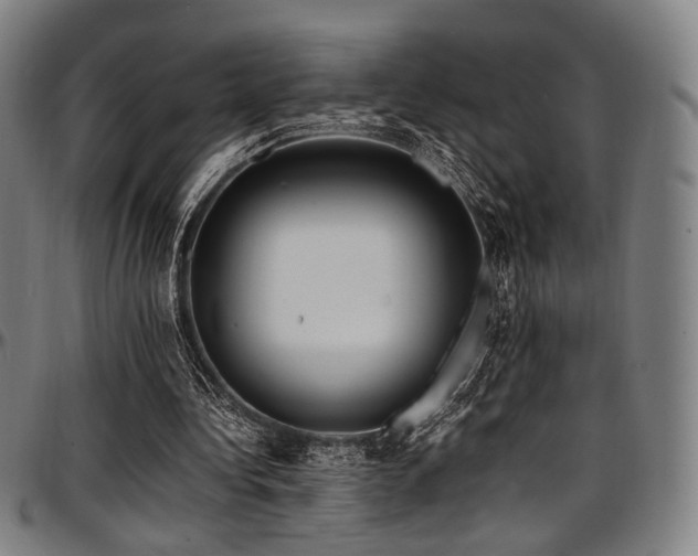 X0000097600340200802291248