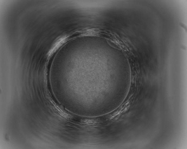 X0000097600341200802291248