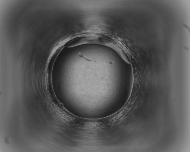X0000097600342200802291248