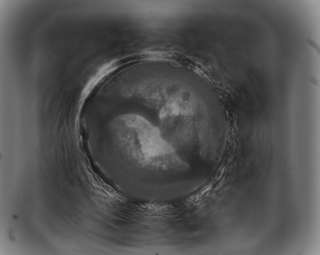 X0000097600343200802291248
