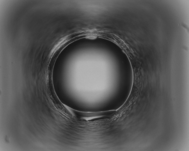 X0000097600344200802291248