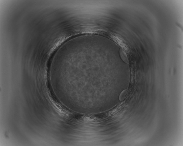 X0000097600346200802291248