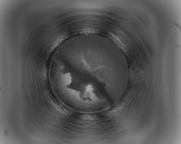 X0000097600347200802291248