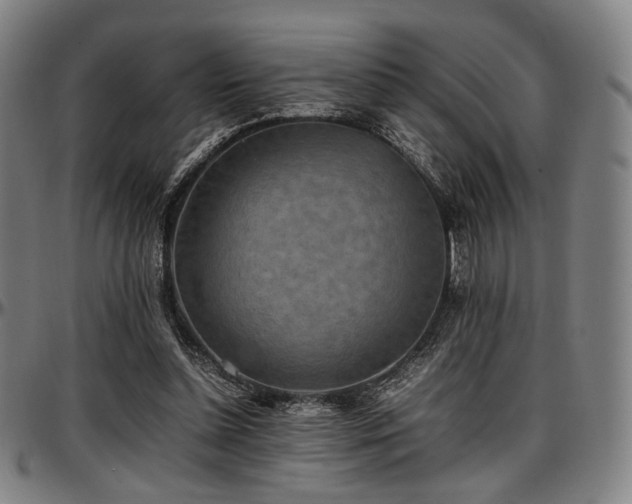 X0000097600348200802291249