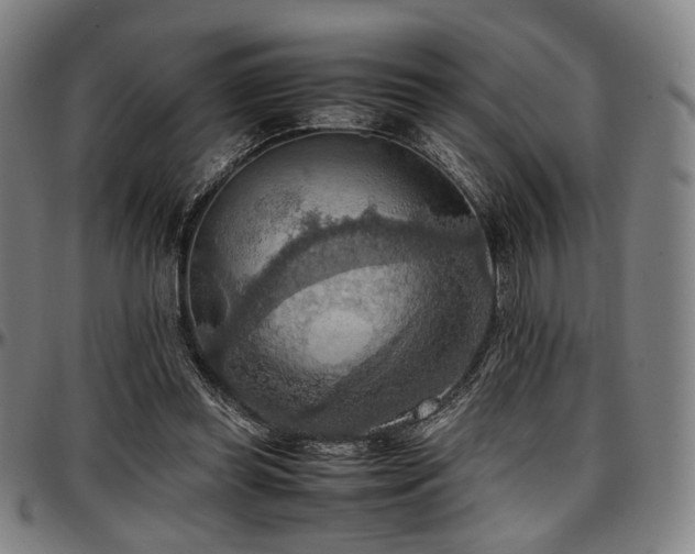 X0000097600349200802291249