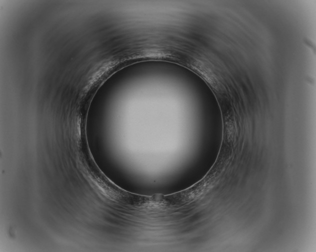 X0000097600350200802291249