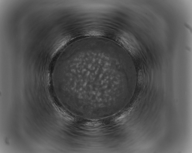 X0000097600351200802291249