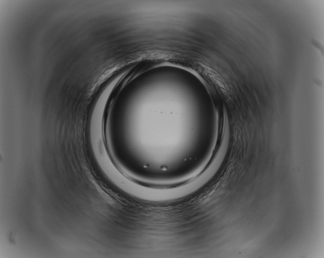 X0000097600352200802291249