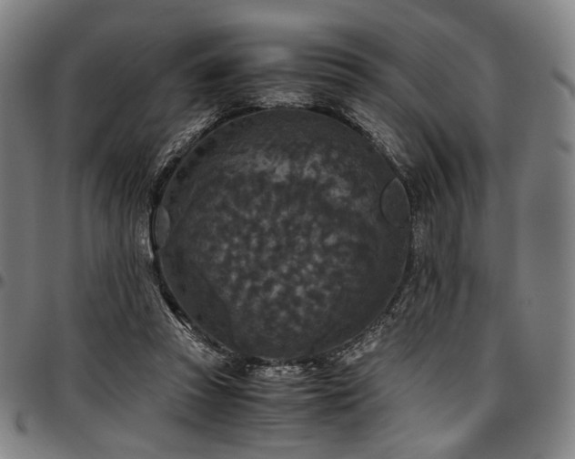 X0000097600353200802291249