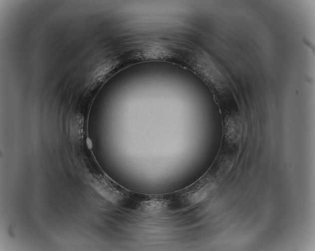 X0000097600356200802291249