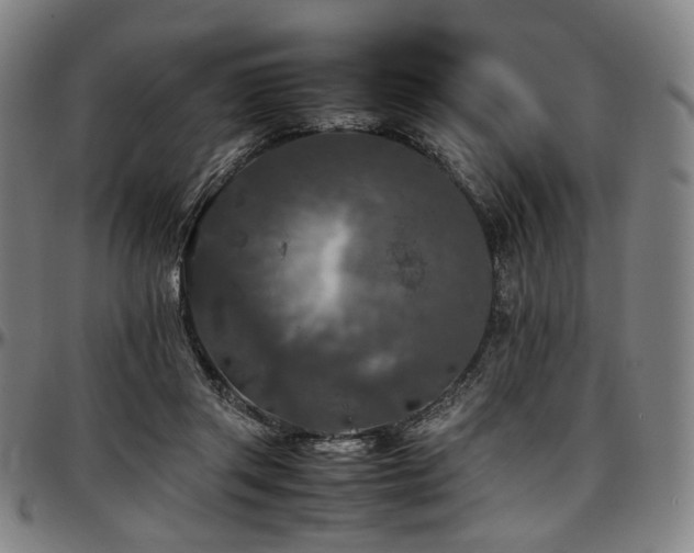 X0000097600357200802291249