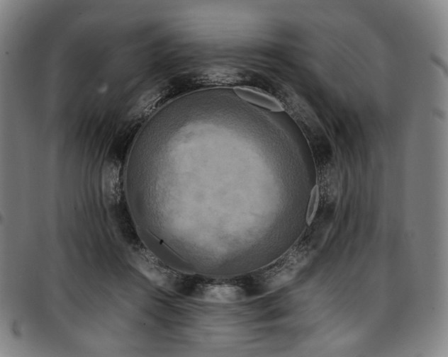 X0000097600360200802291249