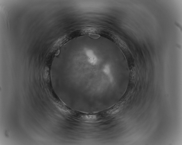 X0000097600361200802291249