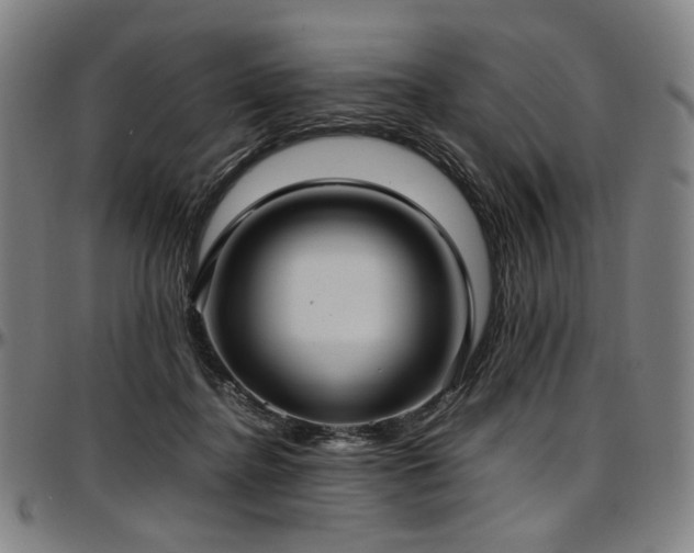 X0000097600364200802291249