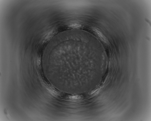 X0000097600365200802291249