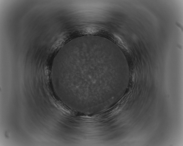 X0000097600366200802291249