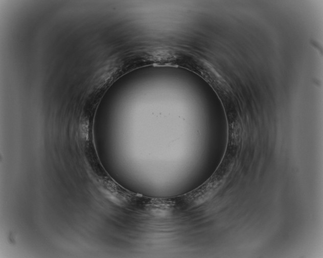 X0000097600368200802291249