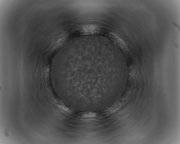 X0000097600369200802291249