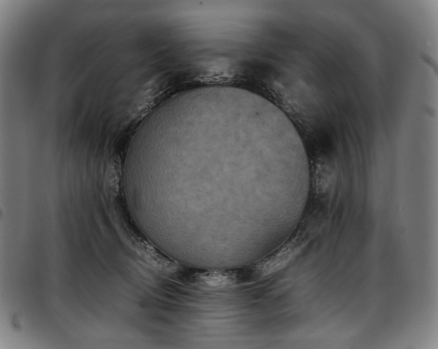 X0000097600370200802291249