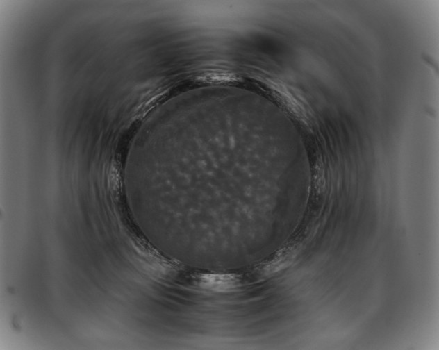 X0000097600371200802291249