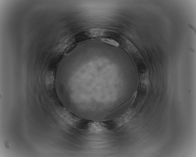 X0000097600372200802291249