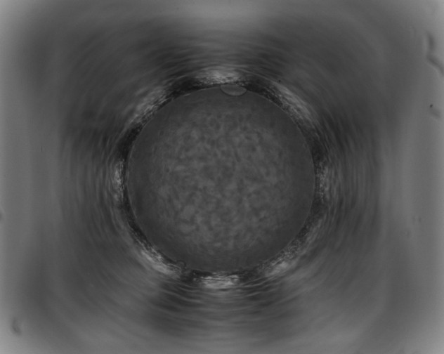 X0000097600373200802291249