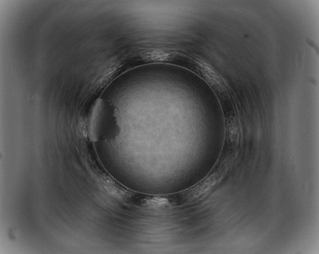 X0000097600374200802291249
