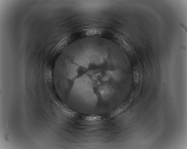 X0000097600375200802291249
