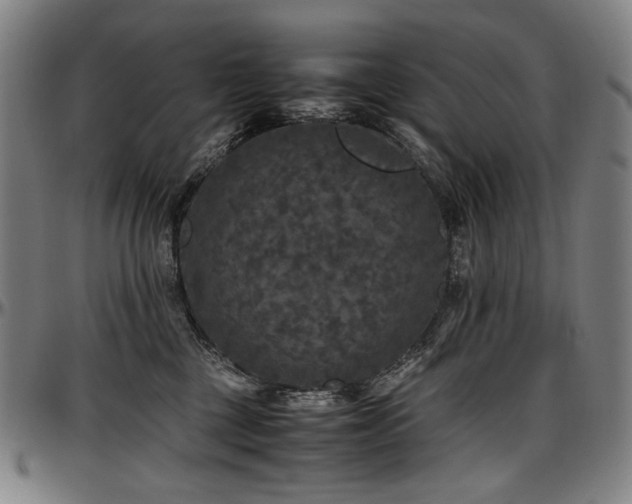 X0000097600377200802291249