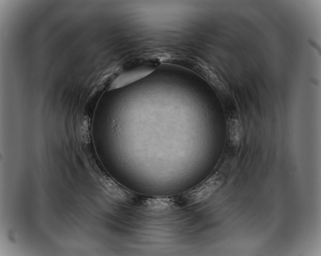 X0000097600378200802291249