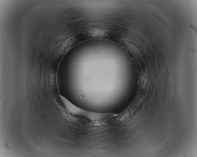 X0000097600379200802291249