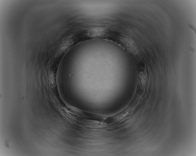 X0000097600380200802291249