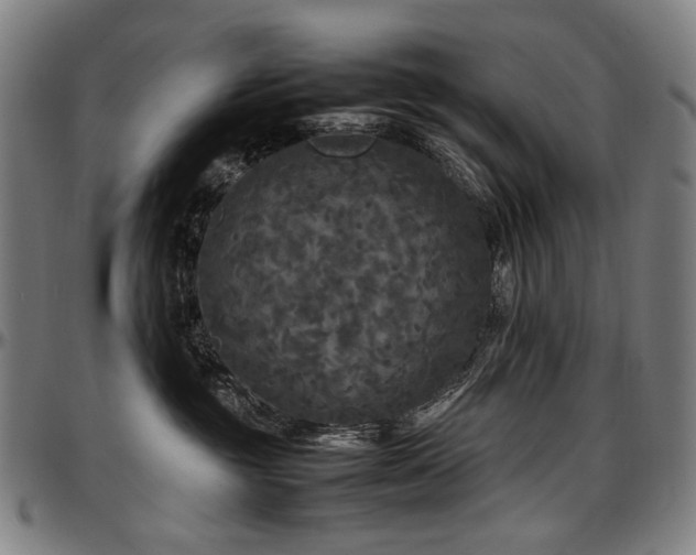 X0000097600381200802291249