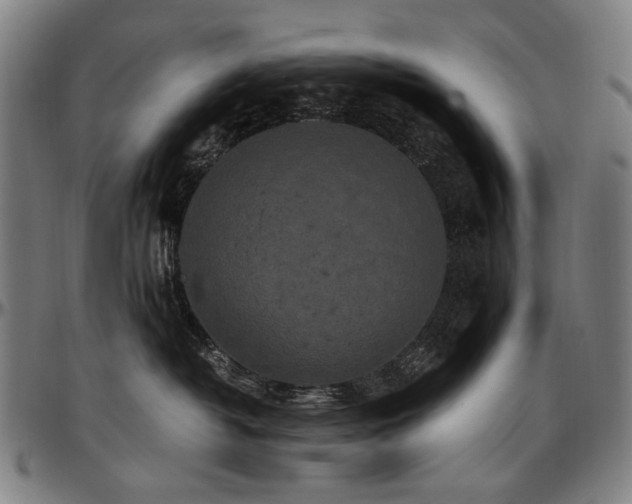 X0000097600382200802291249