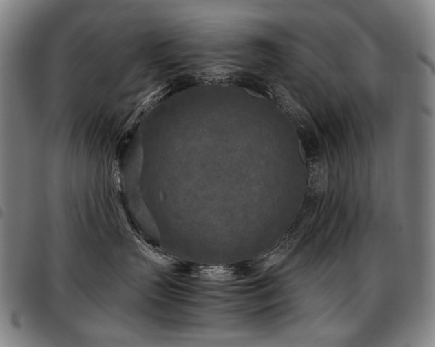 X0000097600383200802291249